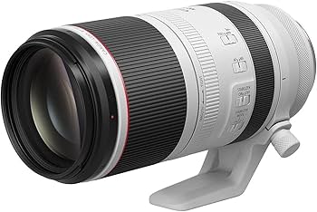 Amazon.com : Canon RF 100-500mm F4.5-7.1 L is USM Super
